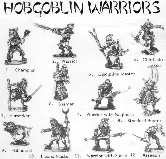 DL2 Hobgoblin Warriors - Box lable
