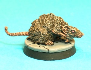 Pose 4. This is the largest of the four rats, depicted creeping forwards with a wary look on his ratty little face.